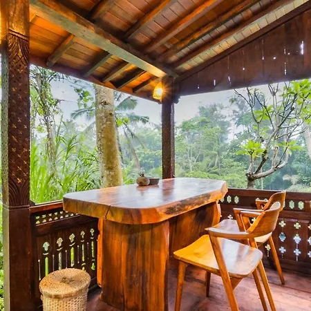 Iyume Villas Tegallalang (Bali) Exterior photo