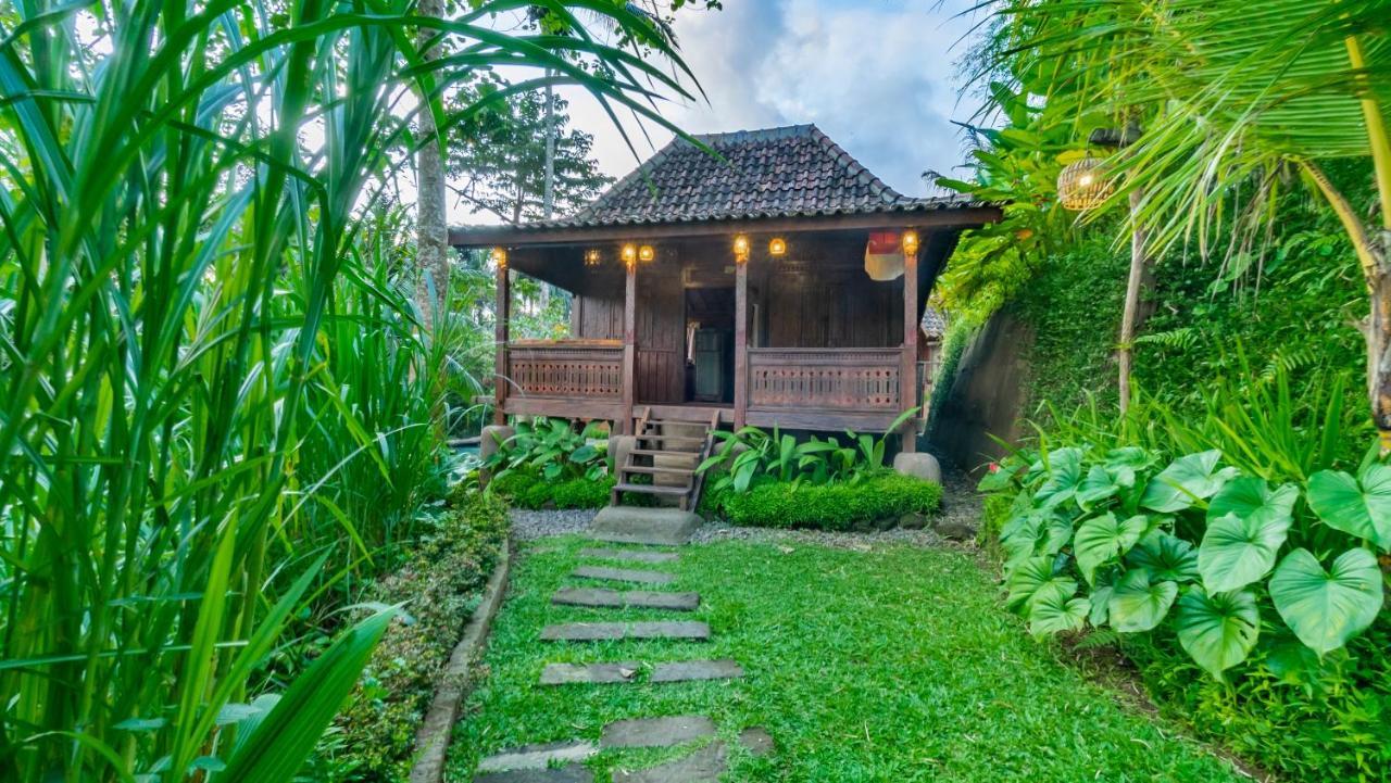 Villa Iyume *